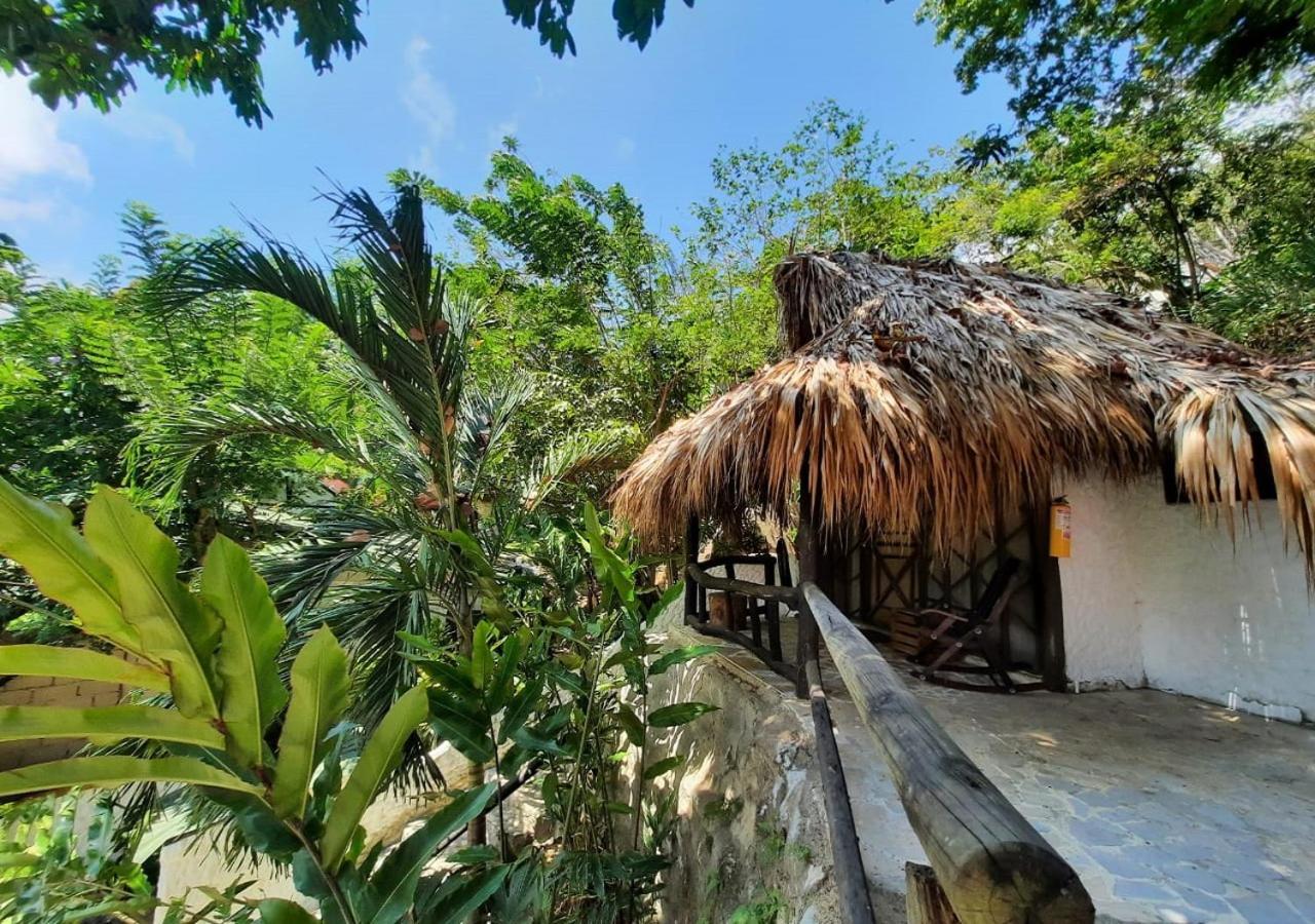 Monte Verde Hostal Zaino Kültér fotó