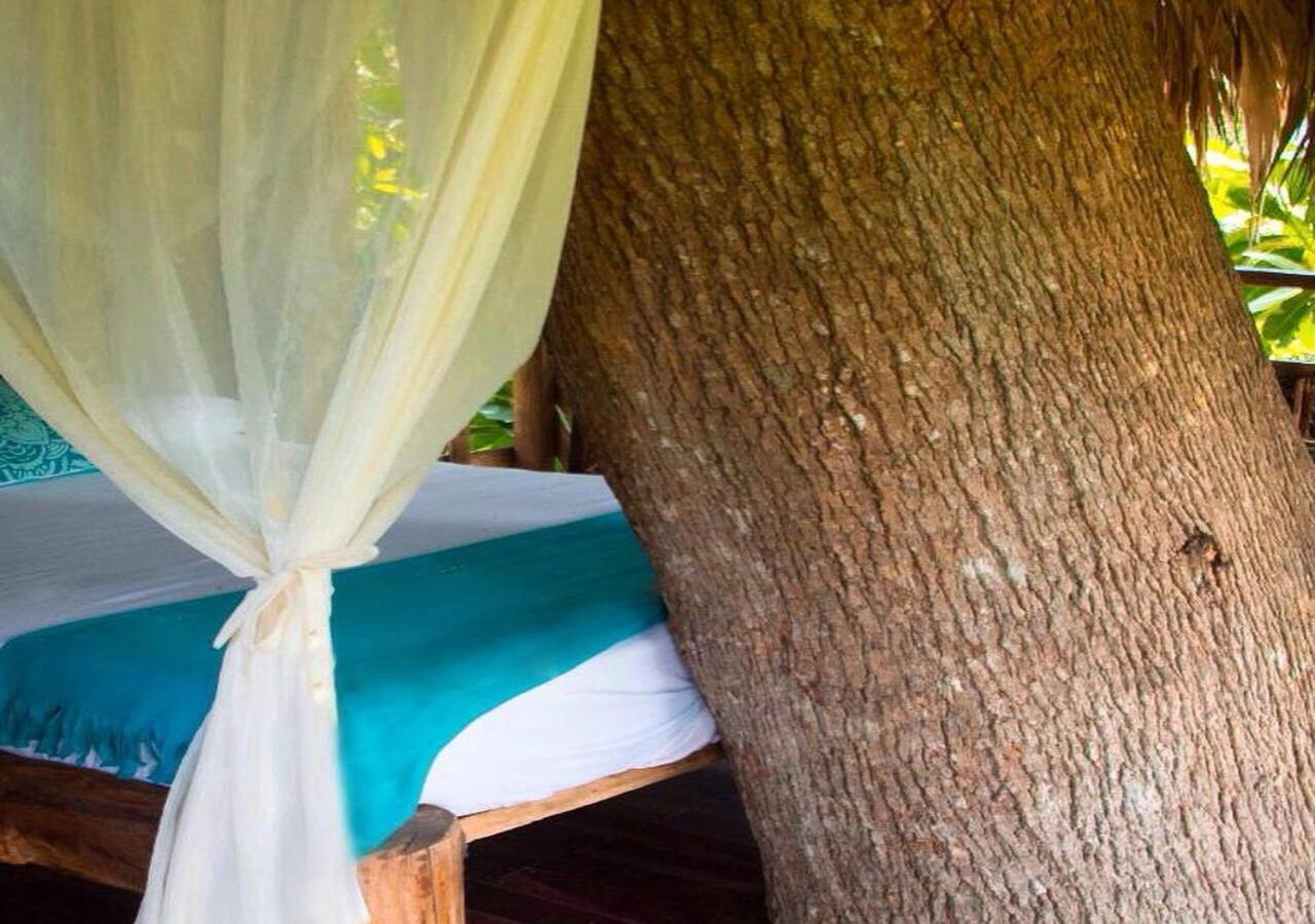Monte Verde Hostal Zaino Kültér fotó